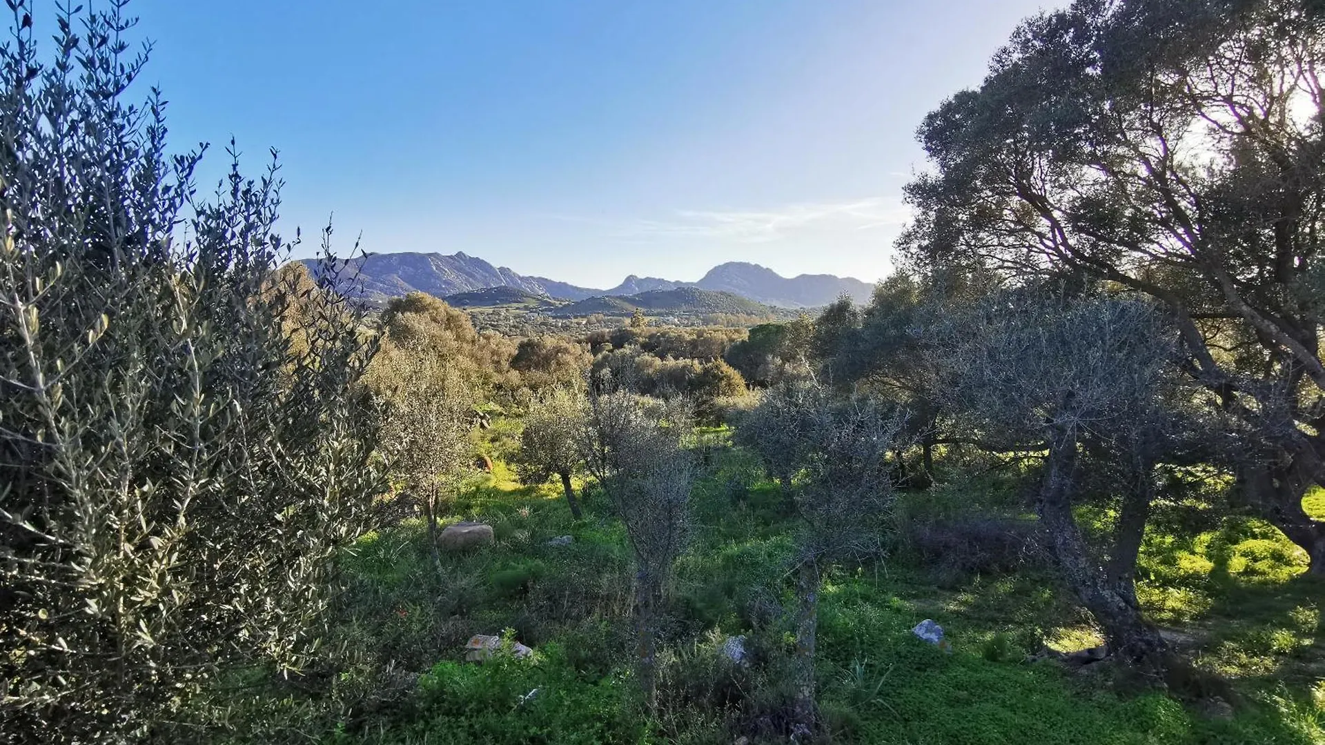 Holiday home Casa Mariposa Porto Rotondo Villa Rudalza