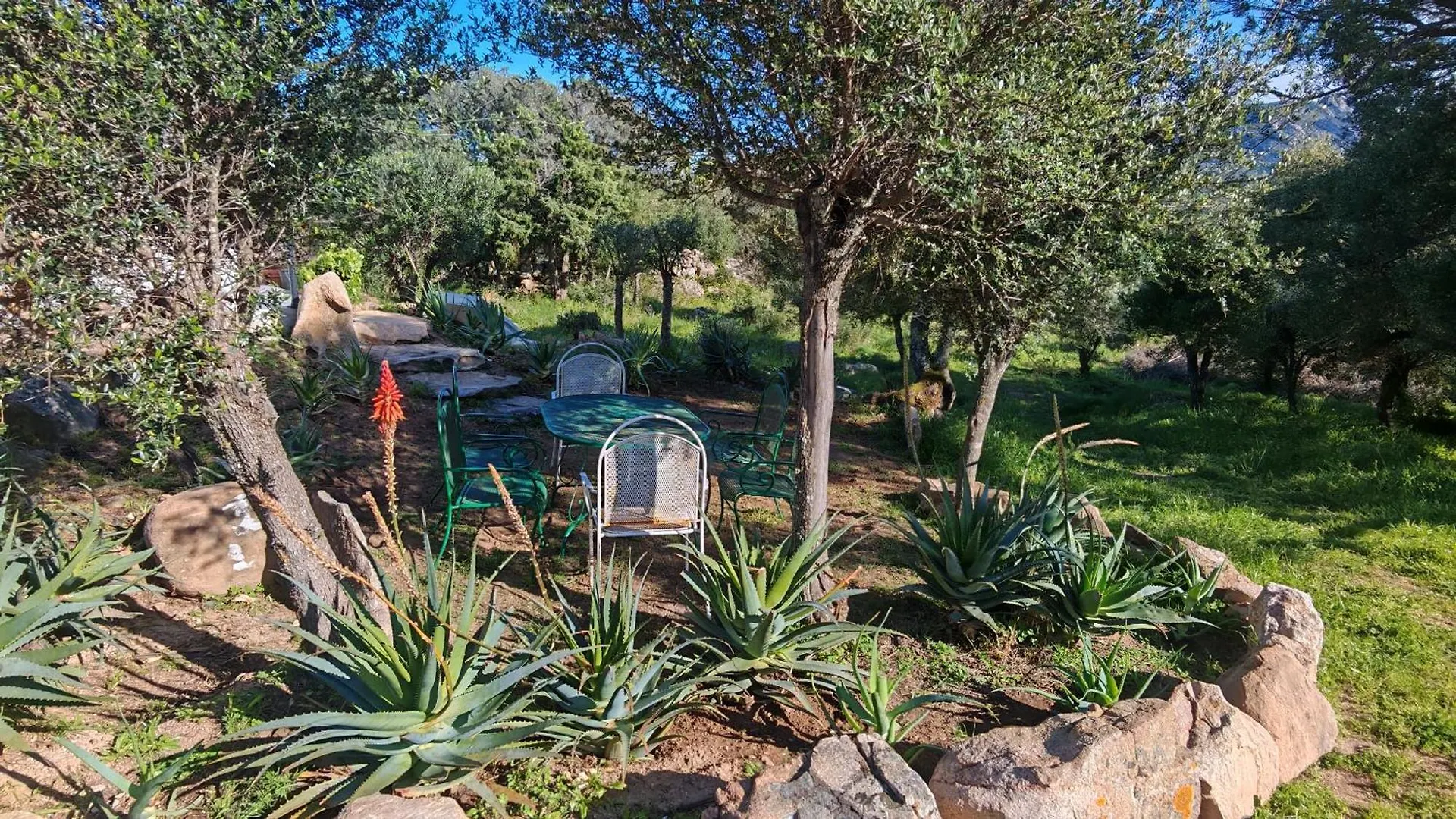 Casa Mariposa Porto Rotondo Villa Rudalza Italy