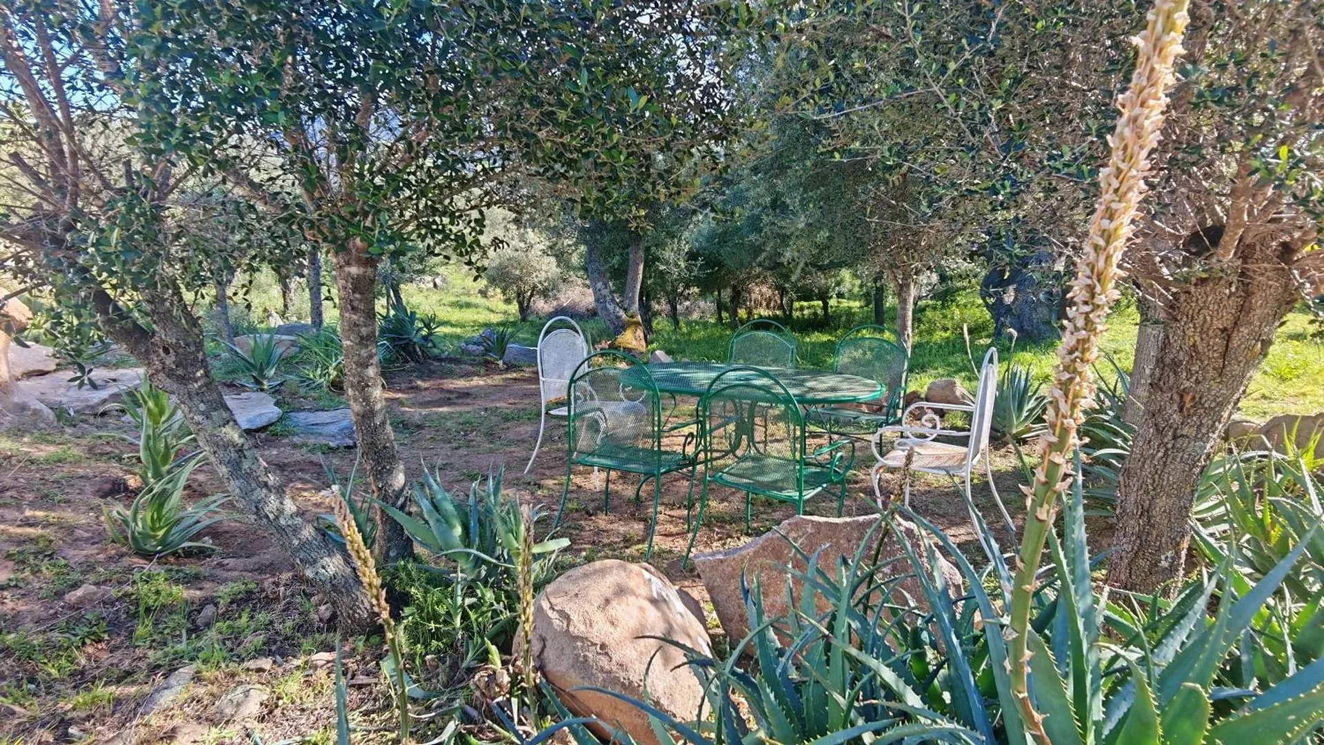 Casa Mariposa Porto Rotondo Villa Rudalza