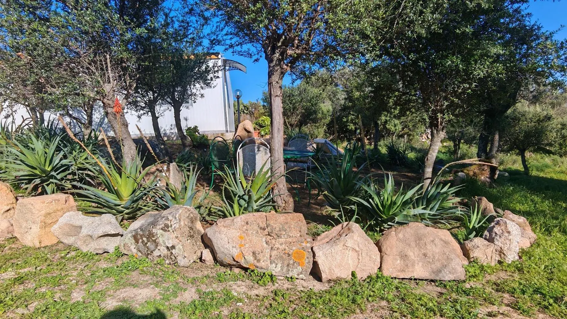 Holiday home Casa Mariposa Porto Rotondo Villa Rudalza