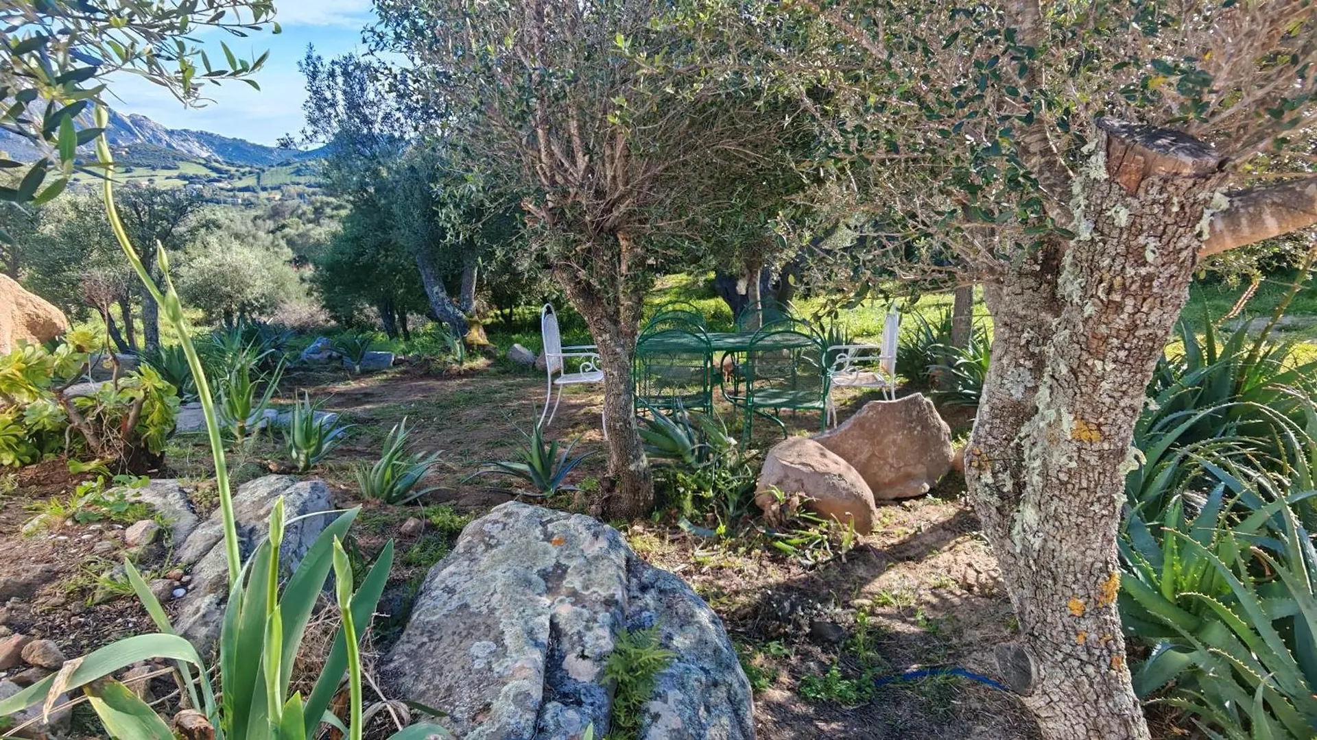 Casa Mariposa Porto Rotondo Villa Rudalza Holiday home