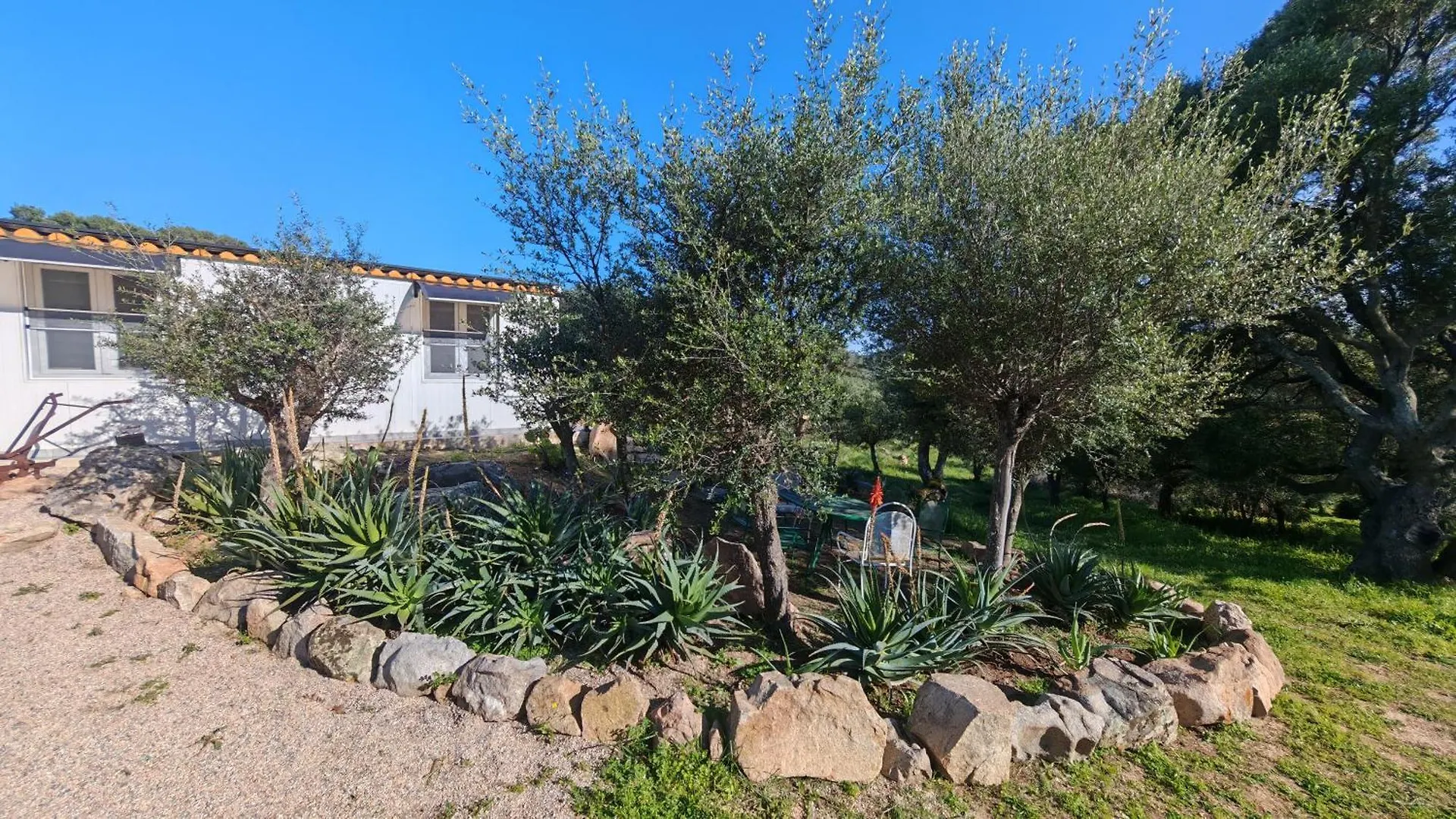 Casa Mariposa Porto Rotondo Villa Rudalza